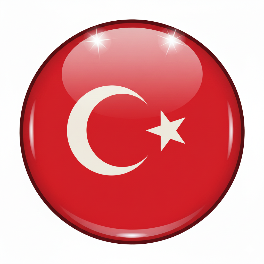 زبان ترکی 
